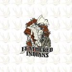 feathered indians meaning 64953d1095808