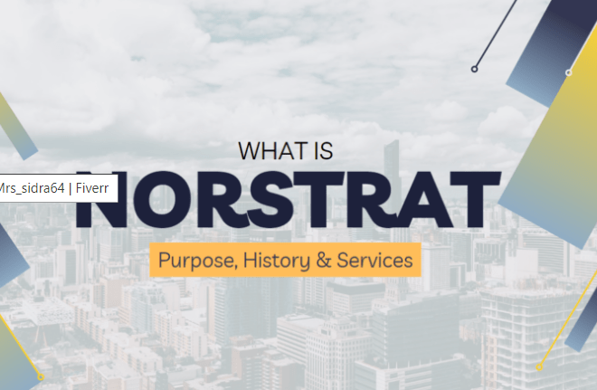 Norstrat Objectives, Strategy Services Provided by the Business