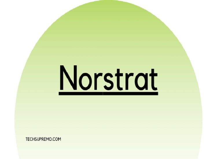 Norstrat Objectives, Strategy Services Provided by the Business