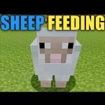 Minecraft What Do Sheeps Eat