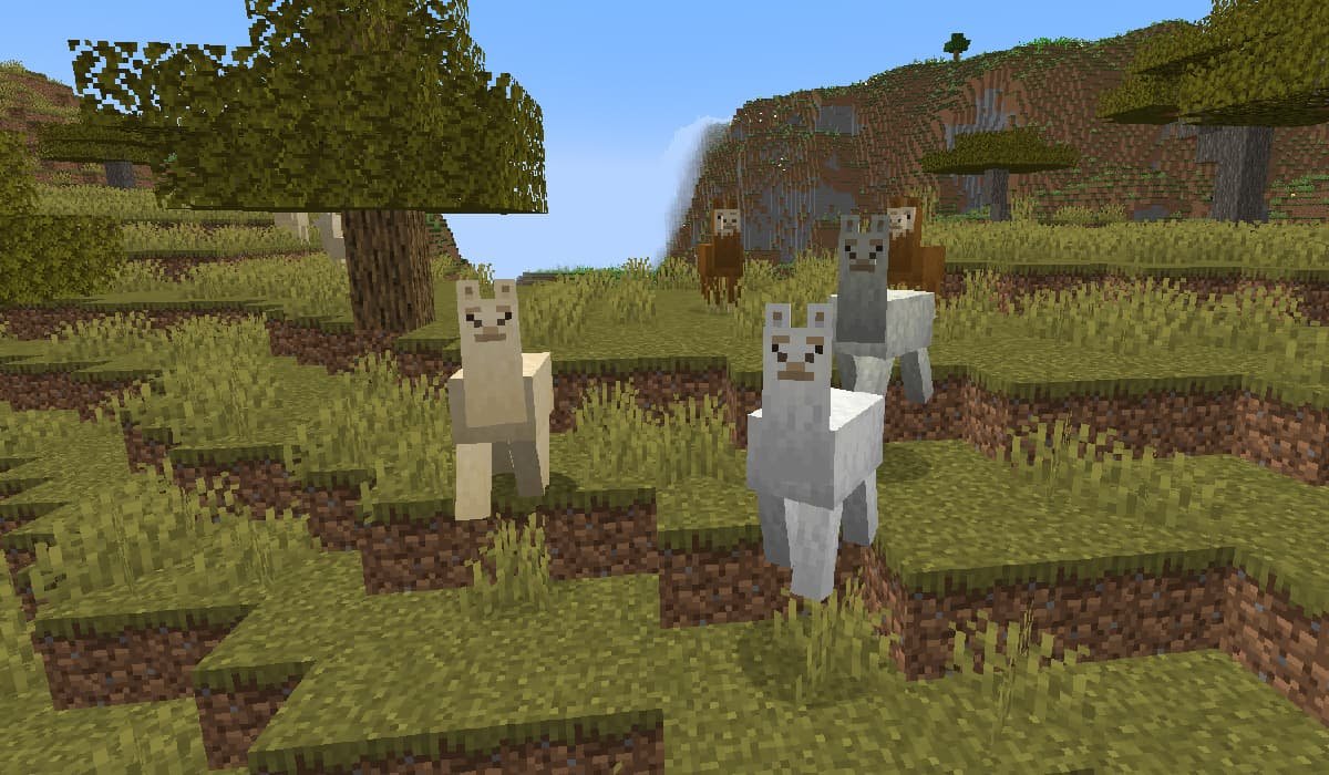 Minecraft What Do Sheeps Eat?