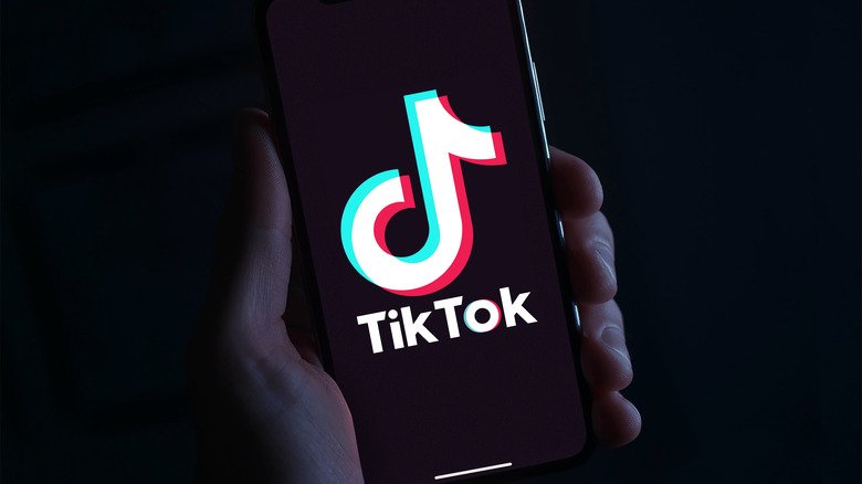 Decoding Tiktok Slang What Do Pov Fyp Pfp Ceo And Other Popular