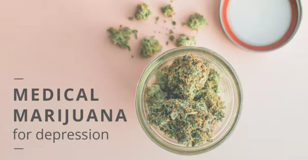 The Role of Cannabis in Mental Health Self-Care The Role of Cannabis in Mental Health Self-Care