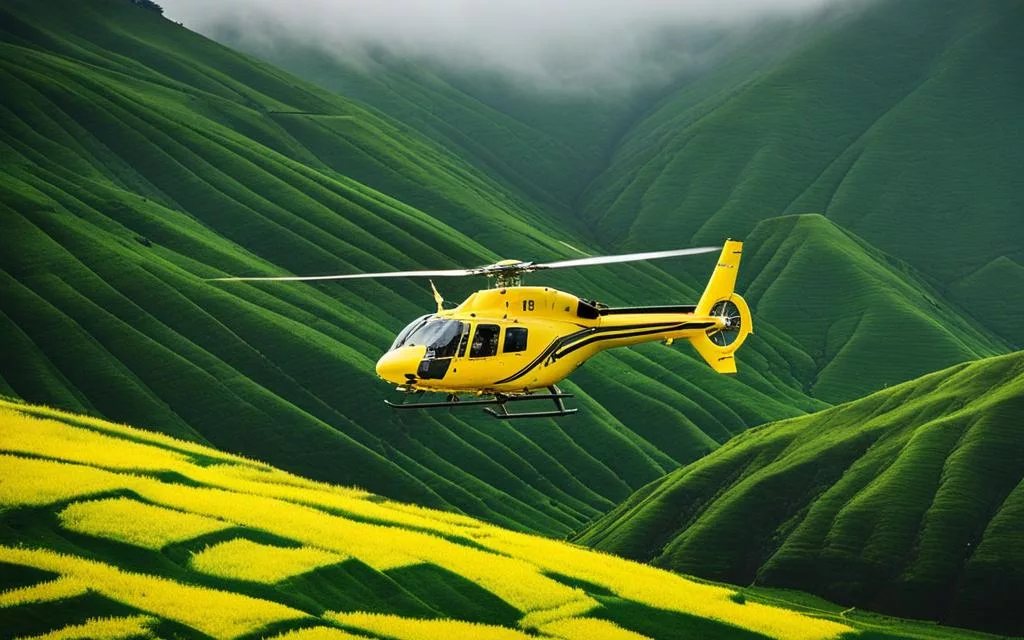 How To Rent A Helicopter In India