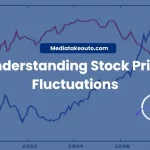 Stock Price Fluctuations
