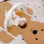 - fruit play gym toys