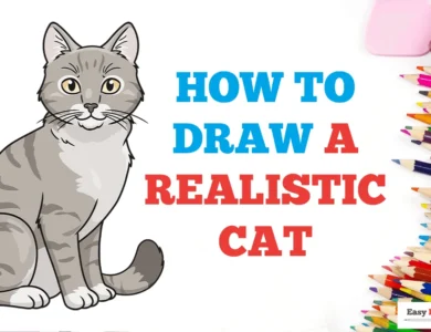 Drawing:a4z_-ymtkr8= cat