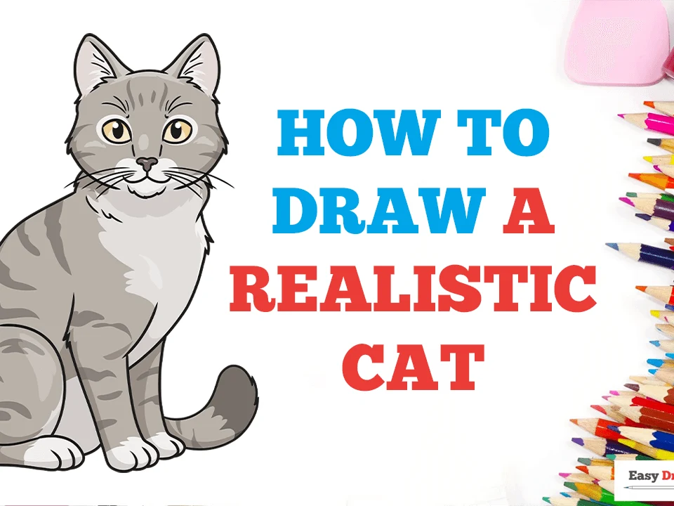 Drawing:a4z_-ymtkr8= cat