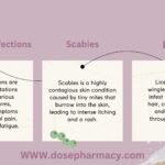 What Is the Fastest Way to Kill Scabies?