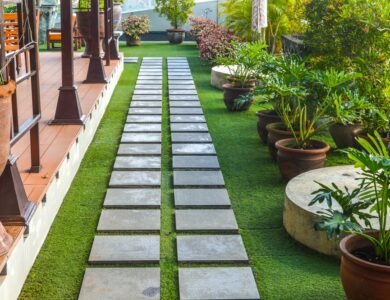 Outdoor Flowering Plants in Office