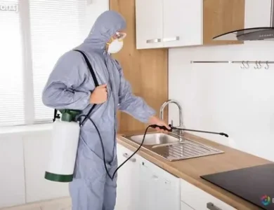 Pest Control Lahore and Guide to Pest Control Near Me