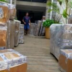 top packers and movers