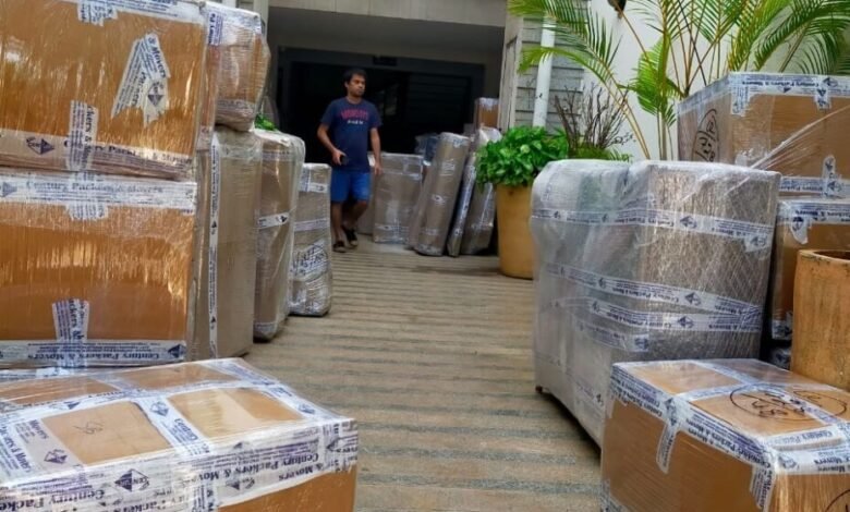 top packers and movers