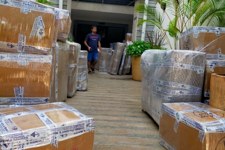 top packers and movers