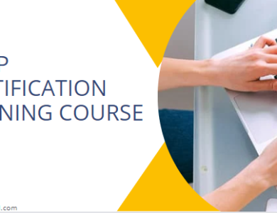 CISSP Certification Training Course in Chicago IL, United States